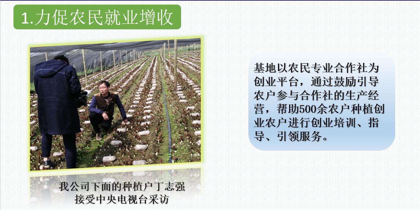 &#24320;&#20803;&#32593;&#31449;&#30331;&#24405;&#20837;&#21475;&#95;&#24320;&#20803;&#65288;&#20013;&#22269;&#65289;