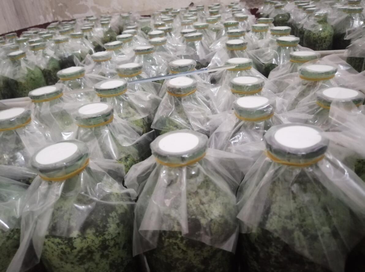 &#24320;&#20803;&#32593;&#31449;&#30331;&#24405;&#20837;&#21475;&#95;&#24320;&#20803;&#65288;&#20013;&#22269;&#65289;