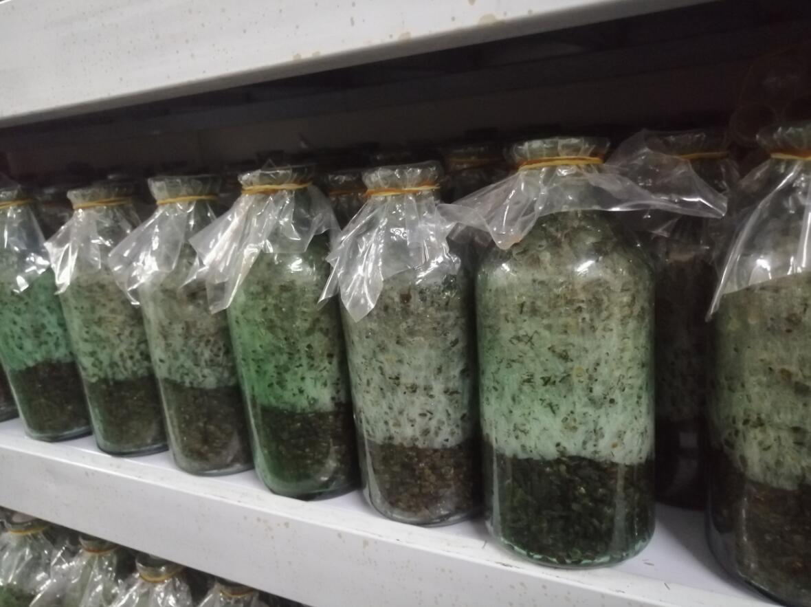 &#24320;&#20803;&#32593;&#31449;&#30331;&#24405;&#20837;&#21475;&#95;&#24320;&#20803;&#65288;&#20013;&#22269;&#65289;