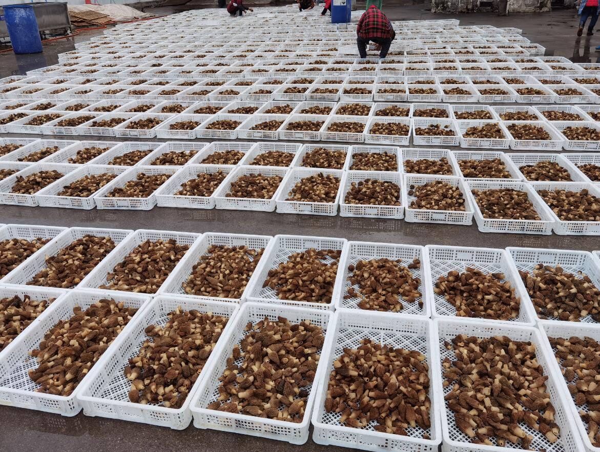 &#24320;&#20803;&#32593;&#31449;&#30331;&#24405;&#20837;&#21475;&#95;&#24320;&#20803;&#65288;&#20013;&#22269;&#65289;