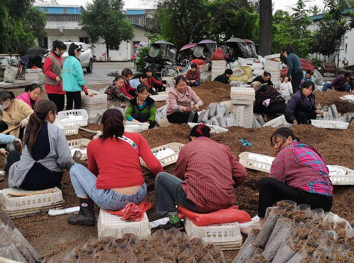 &#24320;&#20803;&#32593;&#31449;&#30331;&#24405;&#20837;&#21475;&#95;&#24320;&#20803;&#65288;&#20013;&#22269;&#65289;