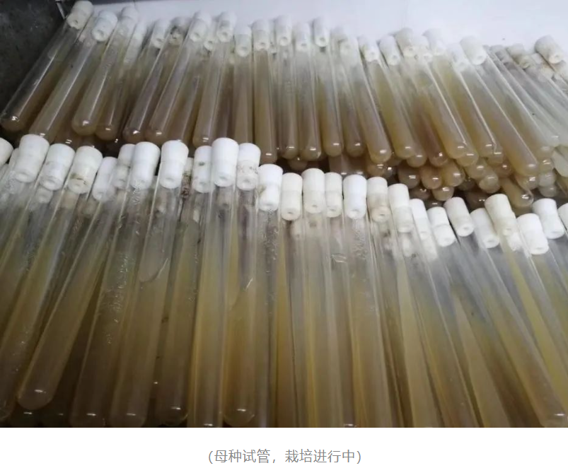 &#24320;&#20803;&#32593;&#31449;&#30331;&#24405;&#20837;&#21475;&#95;&#24320;&#20803;&#65288;&#20013;&#22269;&#65289;